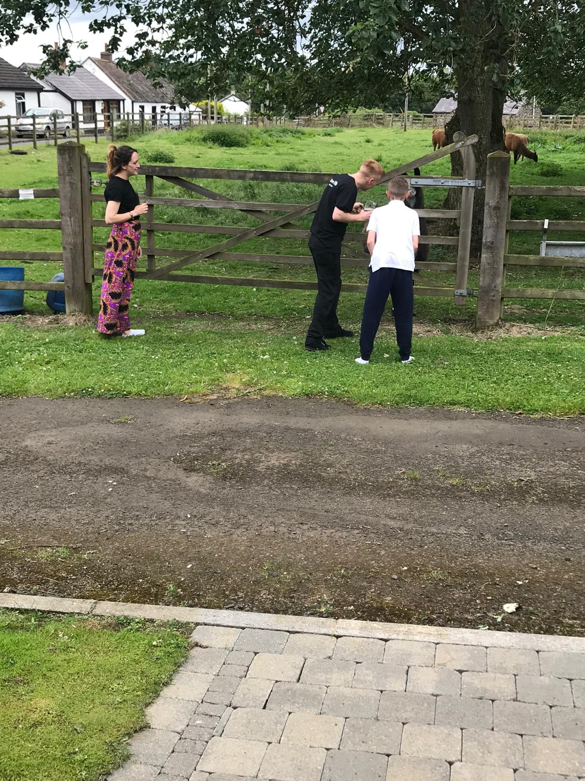 WhatsApp Image 2026-04-04 at 20.10.59 (1).jpeg