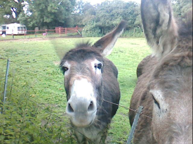 WhatsApp Image 2026-04-05 at 10.47.57 (2).jpeg