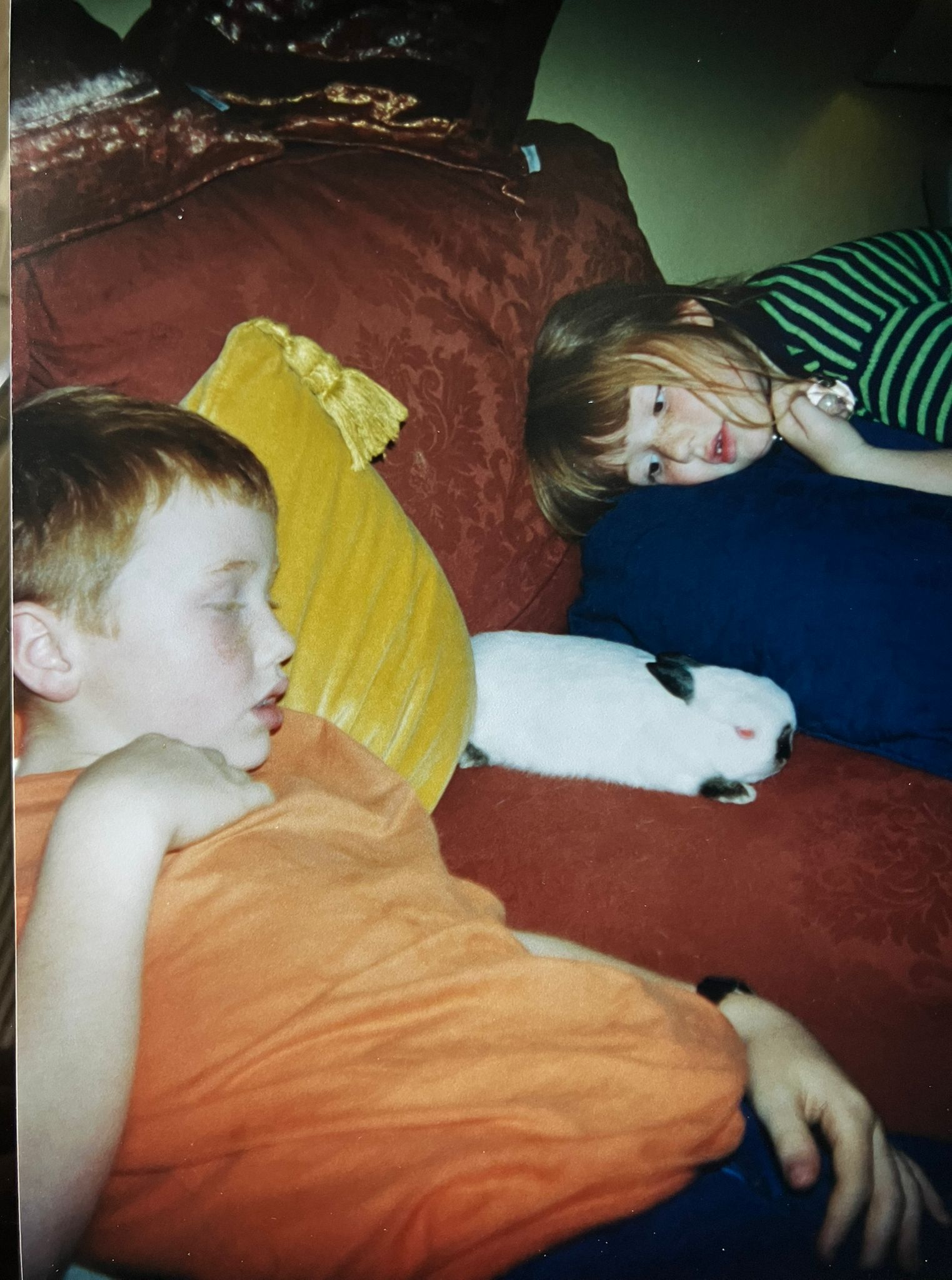 WhatsApp Image 2026-04-05 at 21.42.34.jpeg